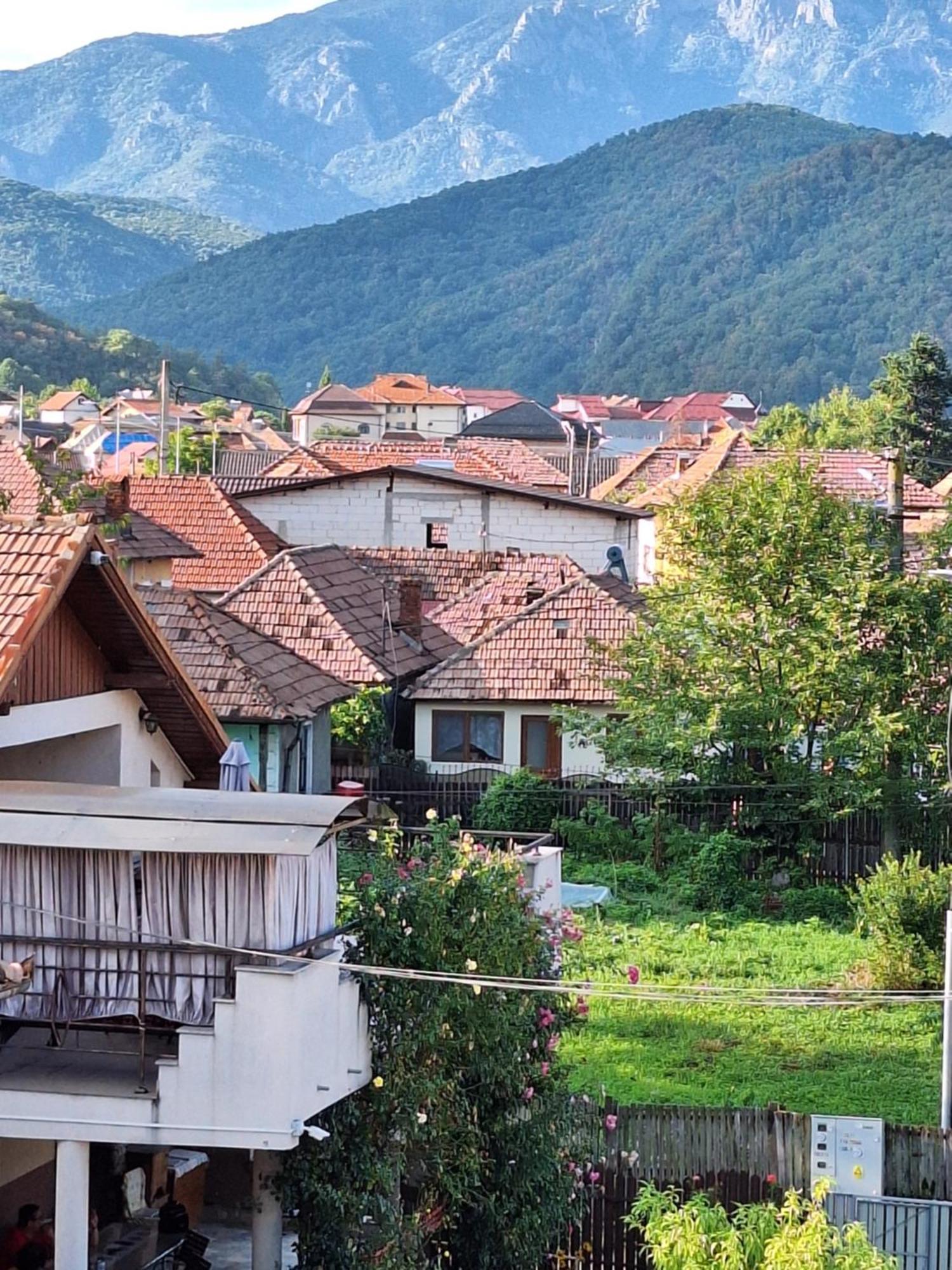 Hotel Casa Delia Călimăneşti Exterior foto
