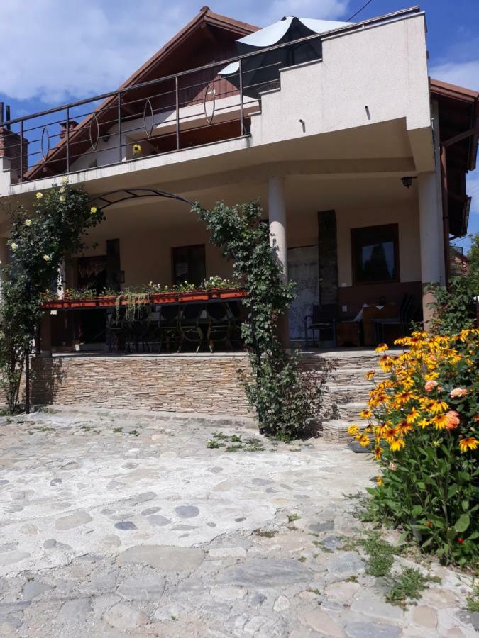Hotel Casa Delia Călimăneşti Exterior foto